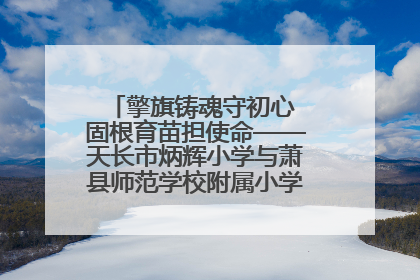 擎旗铸魂守初心 固根育苗担使命——天长市炳辉小学与萧县师范学校附属小学结对共建活动纪实