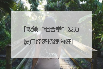 政策“组合拳”发力 厦门经济持续向好