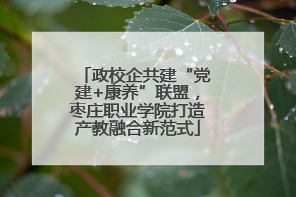 政校企共建“党建+康养”联盟，枣庄职业学院打造产教融合新范式