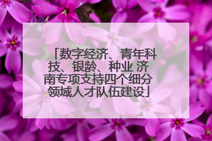 数字经济、青年科技、银龄、种业 济南专项支持四个细分领域人才队伍建设