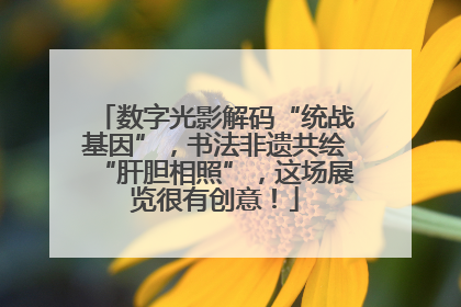 数字光影解码“统战基因”，书法非遗共绘“肝胆相照”，这场展览很有创意！
