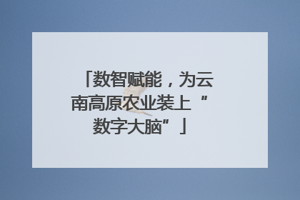 数智赋能，为云南高原农业装上“数字大脑”