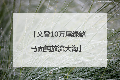 文登10万尾绿鳍马面鲀放流大海