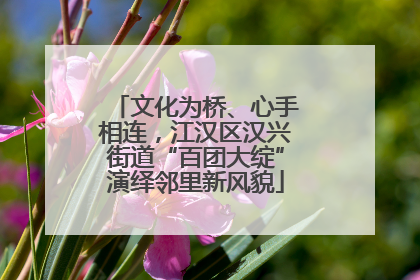 文化为桥、心手相连，江汉区汉兴街道“百团大绽”演绎邻里新风貌