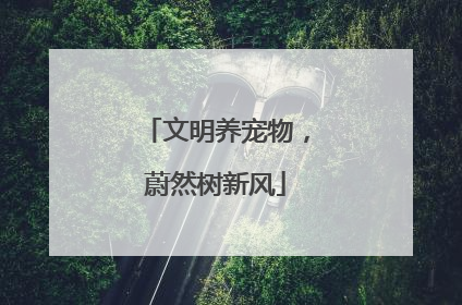 文明养宠物，蔚然树新风