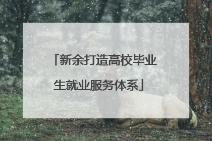 新余打造高校毕业生就业服务体系