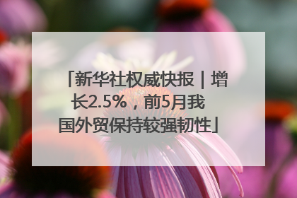 新华社权威快报｜增长2.5%，前5月我国外贸保持较强韧性