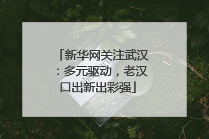 新华网关注武汉：多元驱动，老汉口出新出彩强
