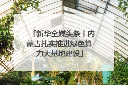 新华全媒头条丨内蒙古扎实推进绿色算力大基地建设