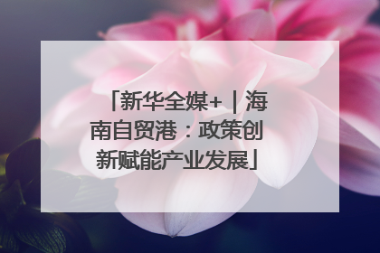 新华全媒+｜海南自贸港：政策创新赋能产业发展