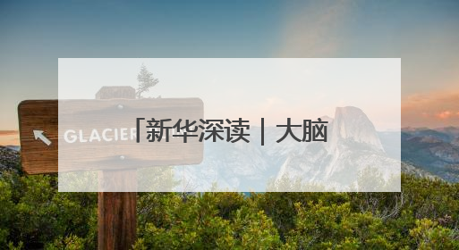 新华深读｜大脑也怕“超载”