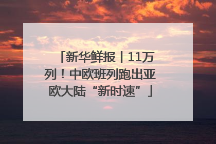 新华鲜报丨11万列！中欧班列跑出亚欧大陆“新时速”