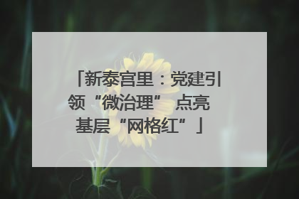 新泰宫里：党建引领“微治理” 点亮基层“网格红”