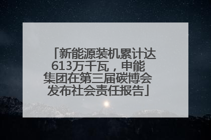 新能源装机累计达613万千瓦，申能集团在第三届碳博会发布社会责任报告