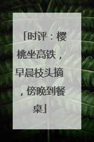 时评：樱桃坐高铁，早晨枝头摘，傍晚到餐桌