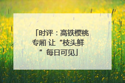 时评：高铁樱桃专厢 让“枝头鲜”每日可见