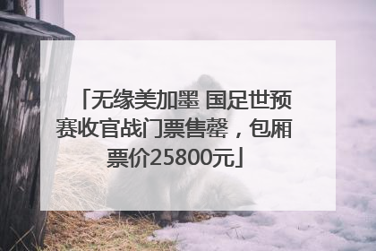 无缘美加墨 国足世预赛收官战门票售罄，包厢票价25800元