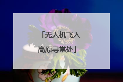 无人机飞入高原寻常处