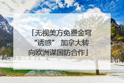 无视美方免费金穹“诱惑” 加拿大转向欧洲谋国防合作