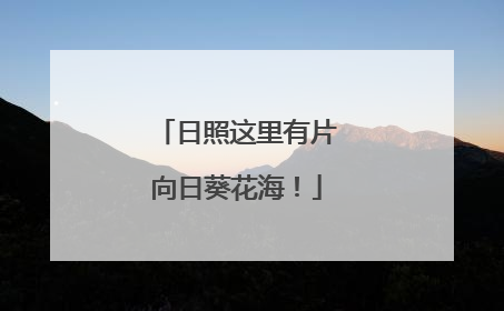 日照这里有片向日葵花海！