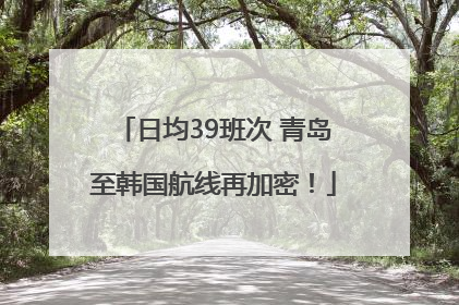 日均39班次 青岛至韩国航线再加密！