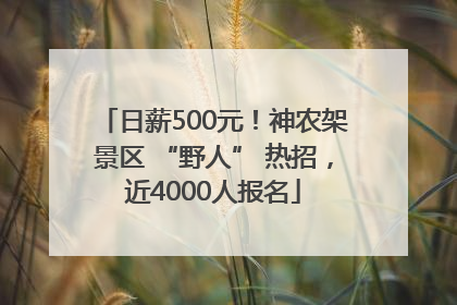 日薪500元！神农架景区 “野人” 热招，近4000人报名