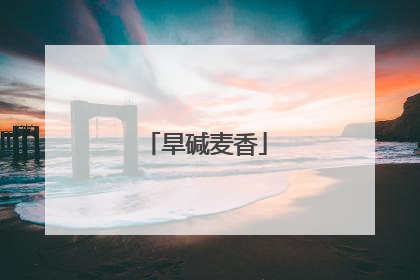 旱碱麦香