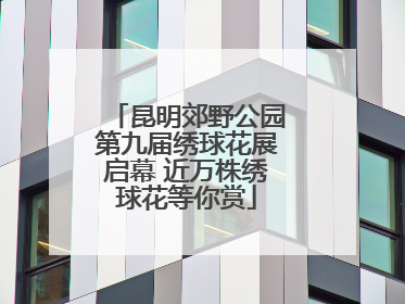 昆明郊野公园第九届绣球花展启幕 近万株绣球花等你赏