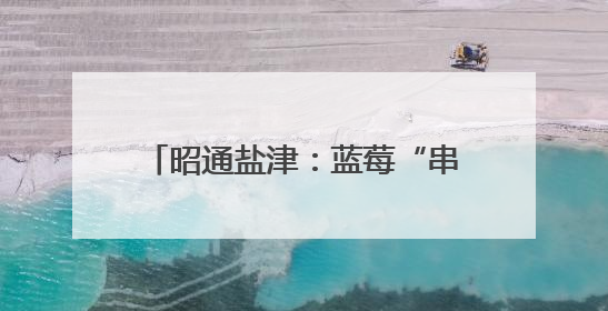 昭通盐津：蓝莓“串”起乡村振兴增收链