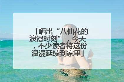 晒出“八仙花的浪漫时刻”，今天，不少读者将这份浪漫延续到家里