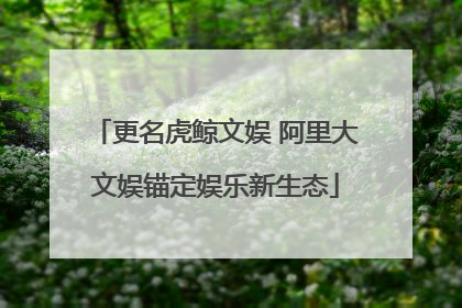 更名虎鲸文娱 阿里大文娱锚定娱乐新生态