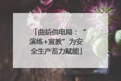 曲靖供电局：“演练+宣教”为安全生产蓄力赋能