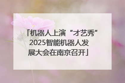 机器人上演“才艺秀” 2025智能机器人发展大会在南京召开