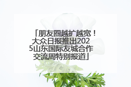 朋友圈越扩越宽！大众日报推出2025山东国际友城合作交流周特别报道