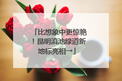 比想象中更惊艳！昆明滇池绿道新地标亮相→
