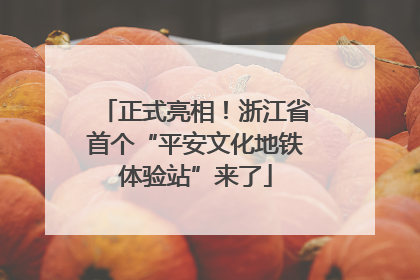 正式亮相！浙江省首个“平安文化地铁体验站”来了