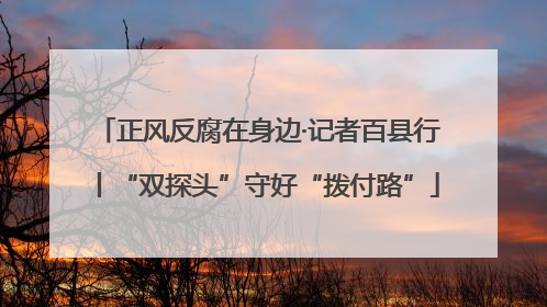 正风反腐在身边·记者百县行丨“双探头”守好“拨付路”