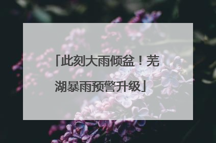 此刻大雨倾盆！芜湖暴雨预警升级