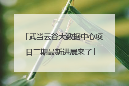 武当云谷大数据中心项目二期最新进展来了