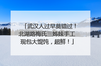 武汉人过早莫错过！北湖路梅氏三姊妹手工现包大馄饨，超鲜！