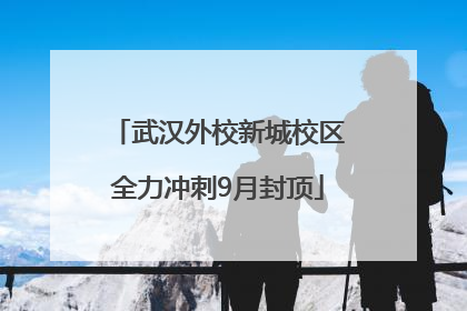 武汉外校新城校区全力冲刺9月封顶
