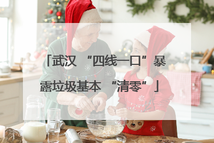 武汉 “四线一口”暴露垃圾基本 “清零”