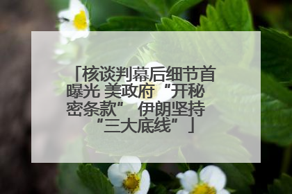核谈判幕后细节首曝光 美政府“开秘密条款” 伊朗坚持“三大底线”
