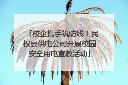 校企携手筑防线！民权县供电公司开展校园安全用电宣教活动