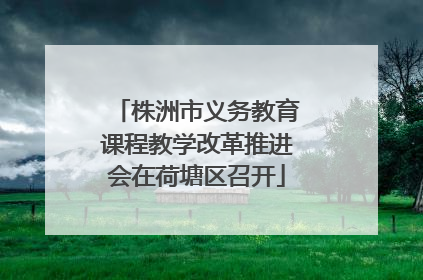 株洲市义务教育课程教学改革推进会在荷塘区召开