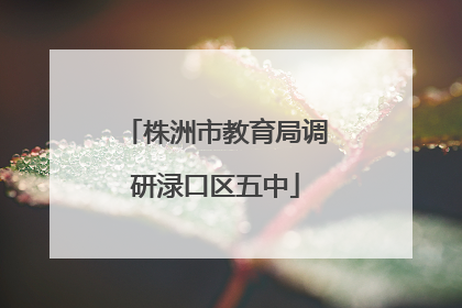 株洲市教育局调研渌口区五中