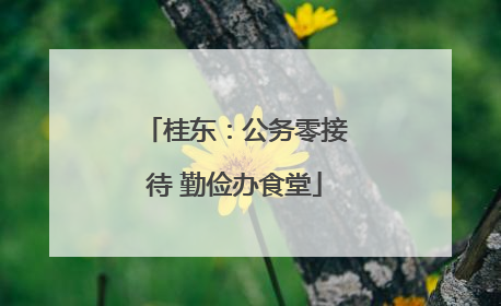桂东：公务零接待 勤俭办食堂