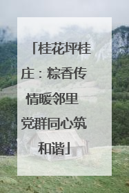 桂花坪桂庄：粽香传情暖邻里 党群同心筑和谐