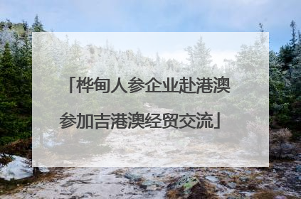 桦甸人参企业赴港澳参加吉港澳经贸交流