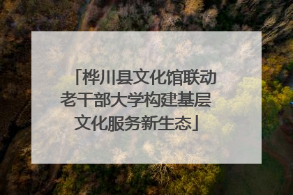 桦川县文化馆联动老干部大学构建基层文化服务新生态